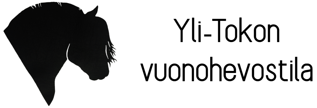 Yli-Tokko